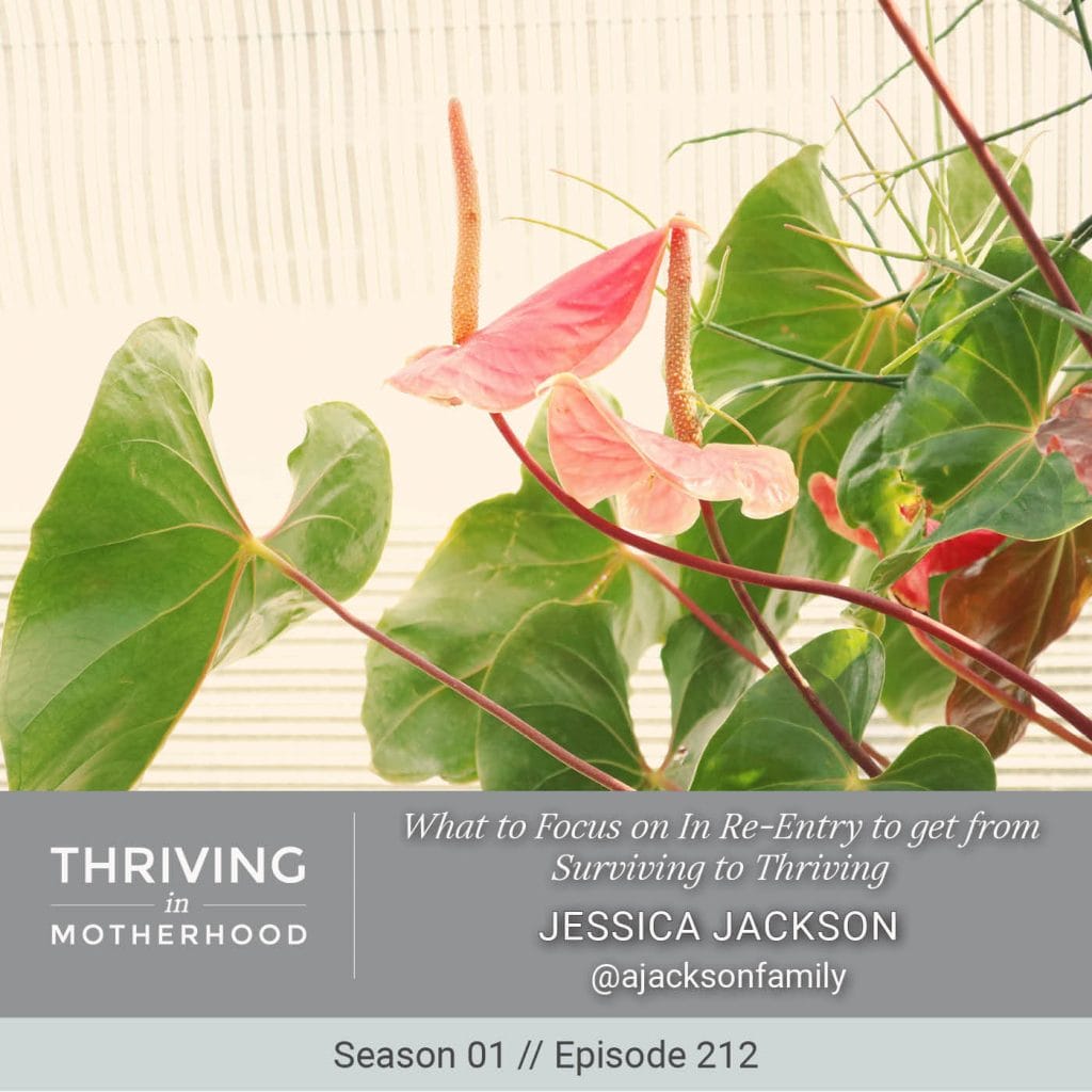 What to Focus on In Re-Entry to get from Surviving to Thriving [Episode 212]