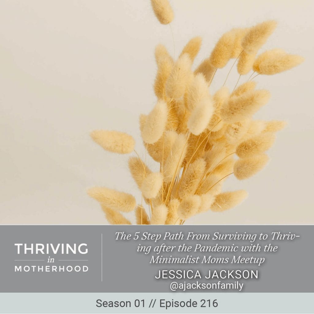 The 5 Step Path From Surviving to Thriving after the Pandemic with the Minimalist Moms Meetup [Episode 216]