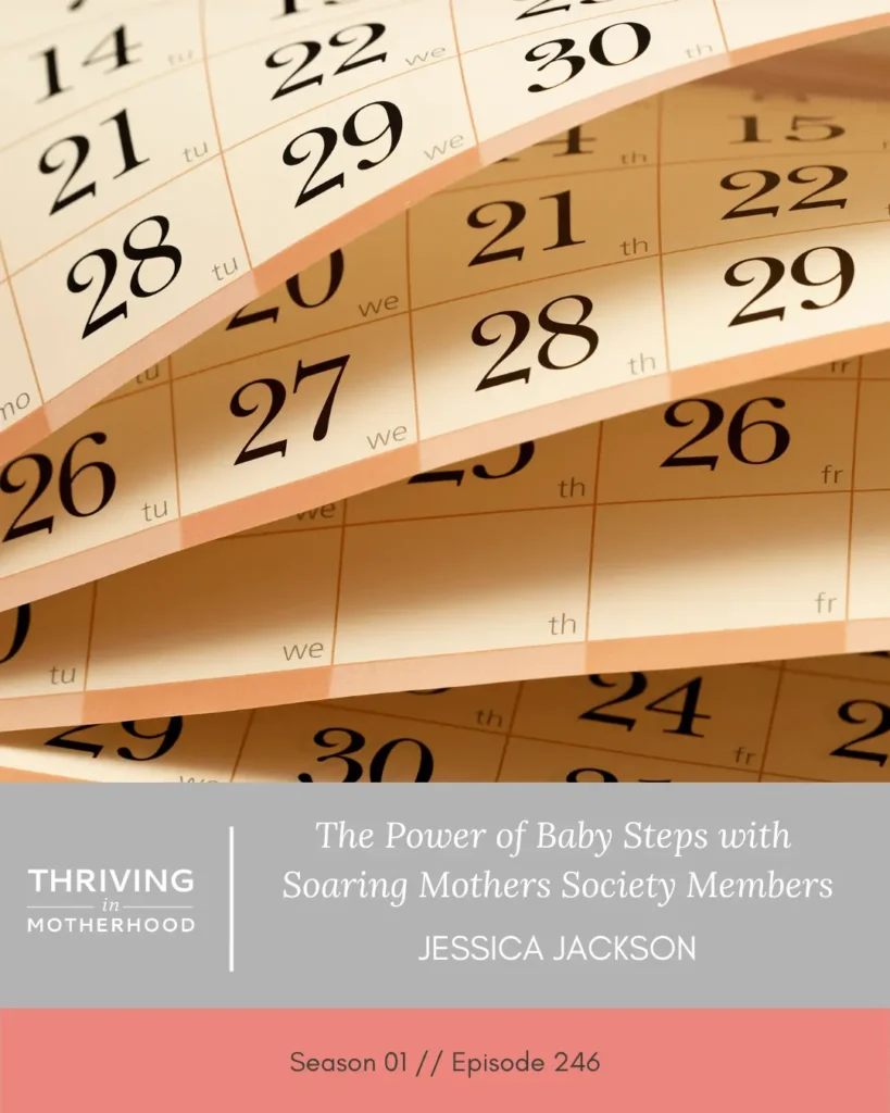 The Power of Baby Steps with Soaring Mothers Society Members [Episode 246]