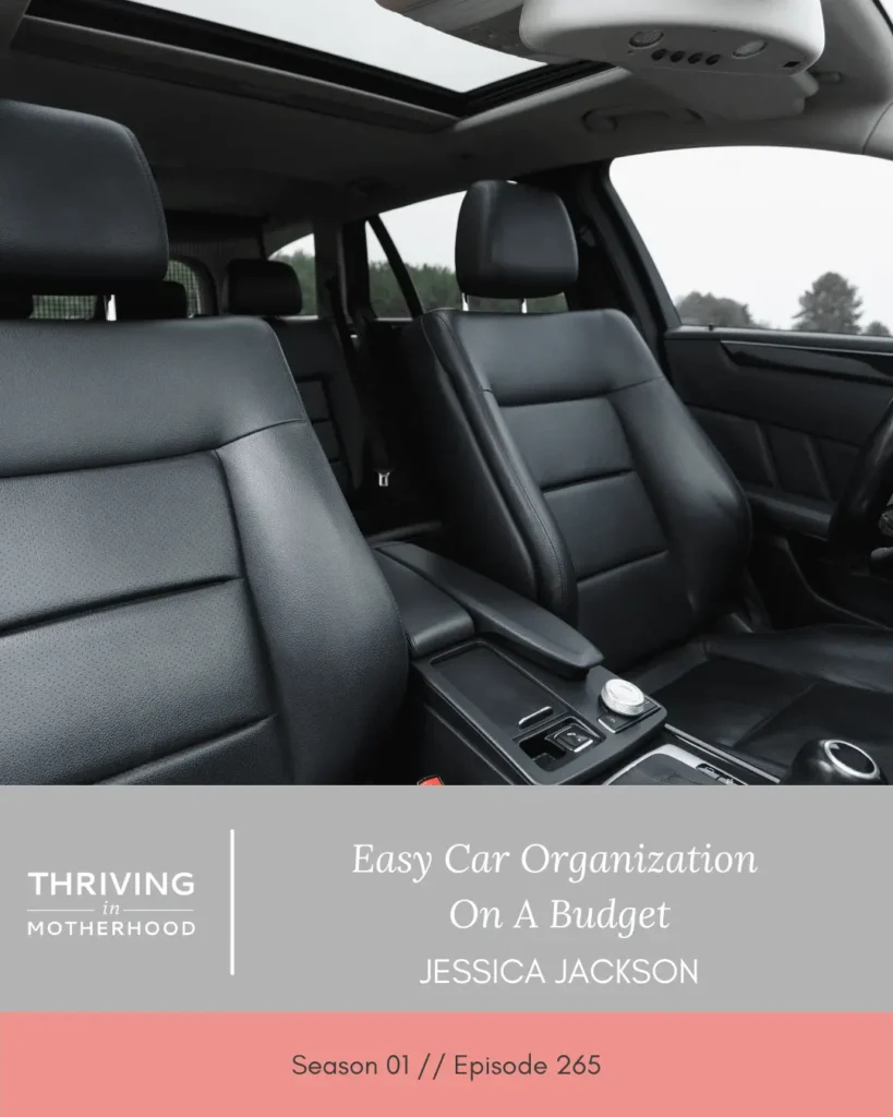 Easy Car Organization On A Budget [Episode 265]