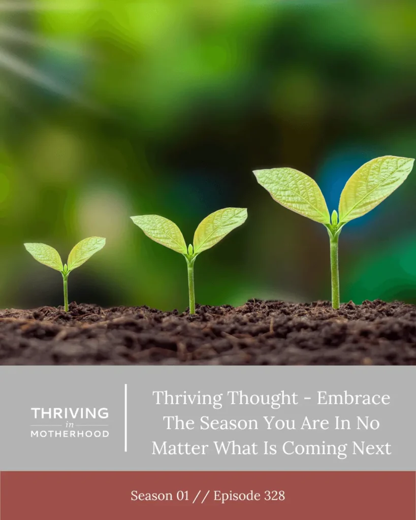 Thriving Thought – Embrace the Season You Are In No Matter What is Coming Next [Episode 328]