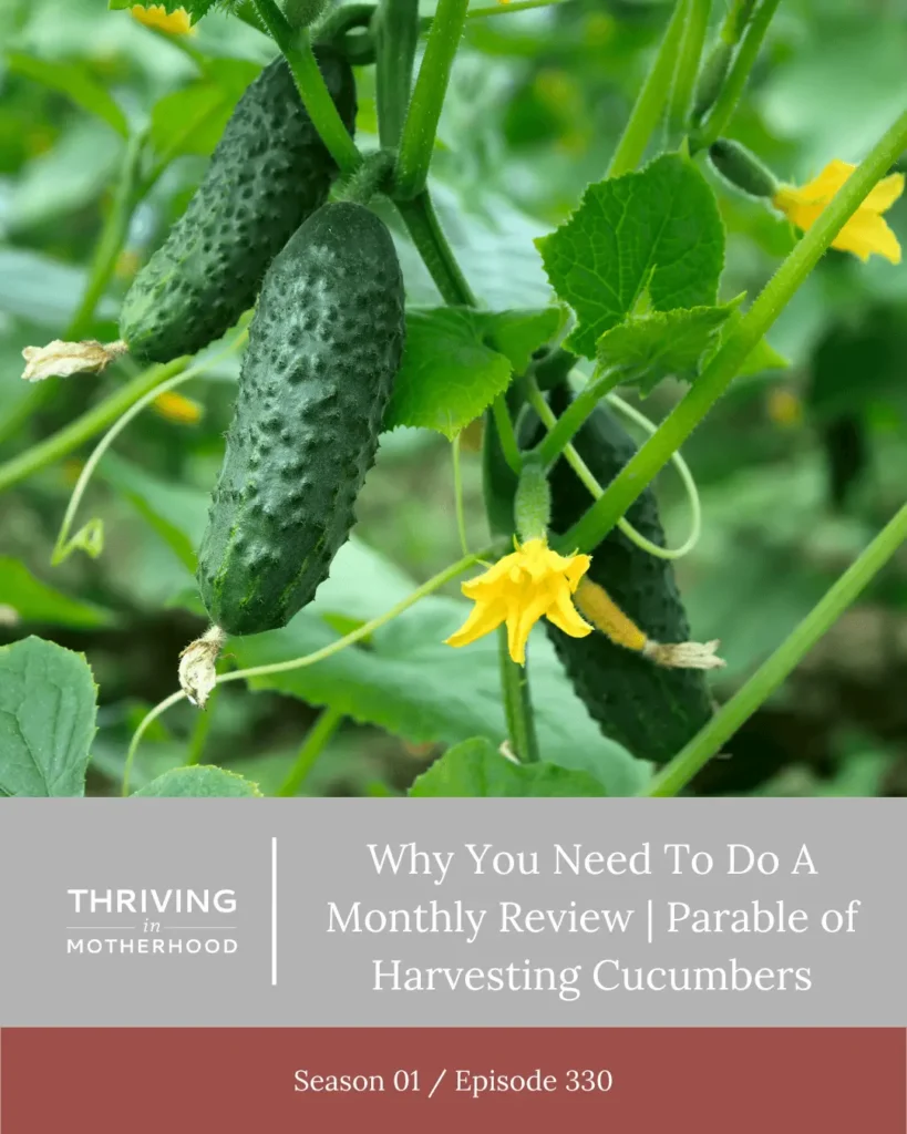 Why You Need To Do A Monthly Review | Parable of Harvesting Cucumbers [Episode 330]