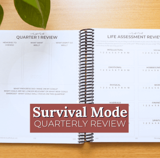Do A Quarterly Review With Me: Survival Mode Edition [Episode 368]
